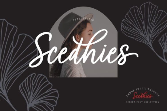 Discover Scedhies: A Delicate Script Font for Web Design