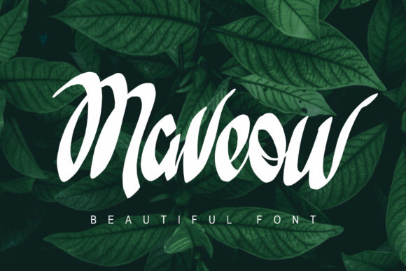 Discover the Charm of Maveow: A Versatile Script Font