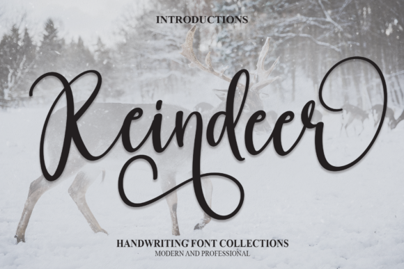 Elevate Your Brand with the Reindeer Handwritten Font