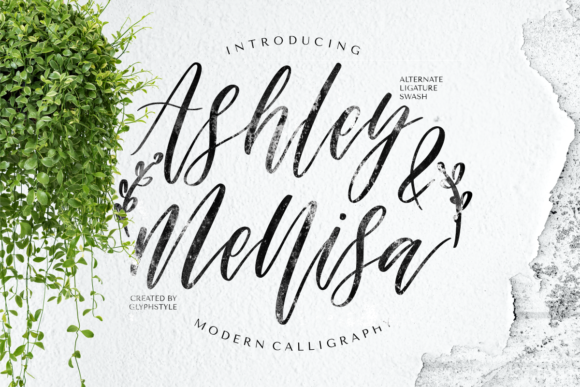 Elevate Your Web Design with Ashley Mellisa Font