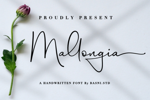 Enhance Your Brand with Mallongia: A Modern Handwritten Font