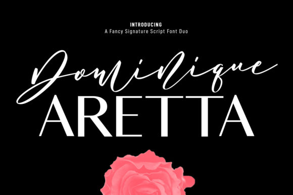 Enhance Your Web Design with Dominique Aretta Font