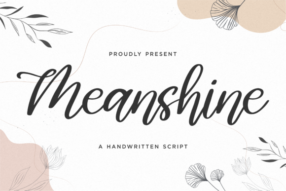 Meanshine: A Charming Script Font for Web Design