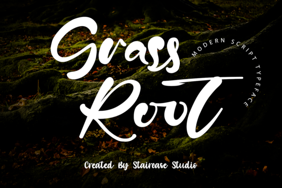 Transform Your Brand with Grass Root: A Modern Script Font