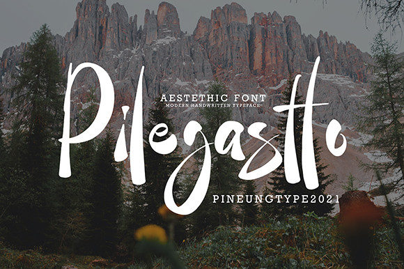 Transform Your Brand with Pilegastto: A Stylish Handwritten Font