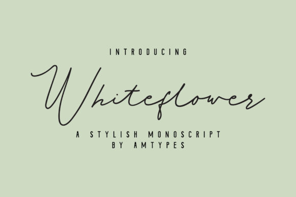 Whiteflower: A Sophisticated Script Font for Elegant Branding